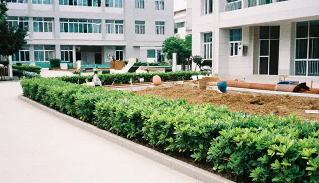 生态绿化施工中理解偏差的常见原因及处理建议