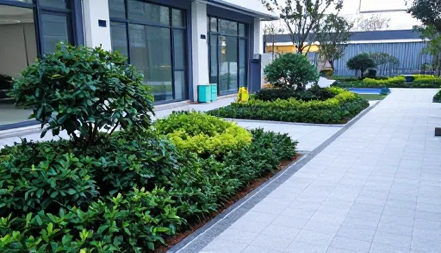 庭院造景工程的选型与维护建议